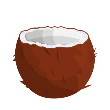 Olgunlaşmış hindistancevizi ve beyaz üzerine yarım Hindistan cevizi.