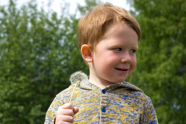 Niño en el campo de los dientes de león — Foto de Stock