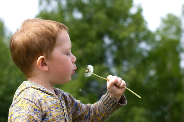 Niño en el campo de los dientes de león — Foto de Stock