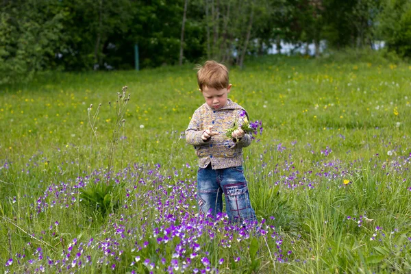 Niño en el campo de las Violetas —  Fotos de Stock