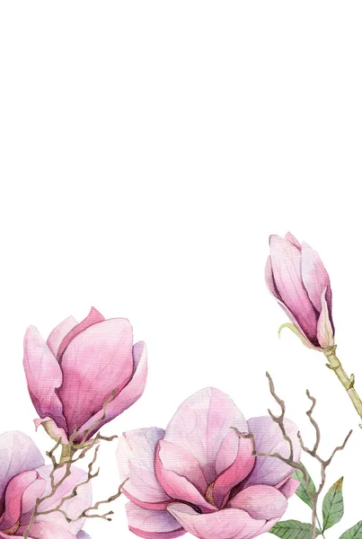 Wiosna akwarela Magnolia — Zdjęcie stockowe