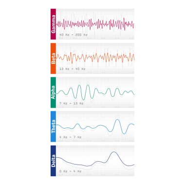 Farklı beyin dalgaları