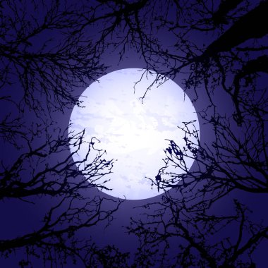 Cadılar Bayramı ağaçlar ve ay