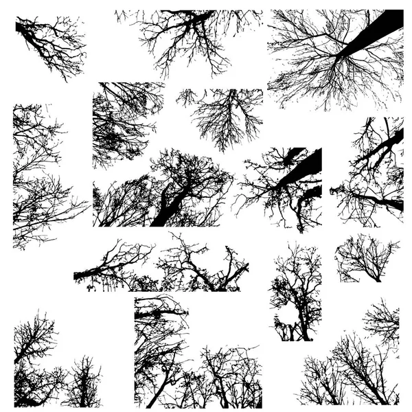 Silhouettes d'arbres noirs — Image vectorielle