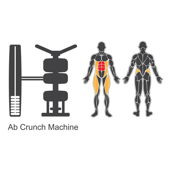 Gym ab crunch machine — Stock Vector