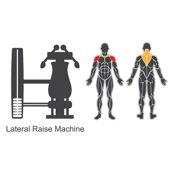 Sportschool lateral raise machine — Stockvector