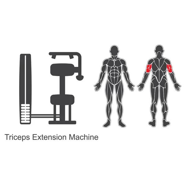 Spor salonu triceps uzantısı makine — Stok Vektör
