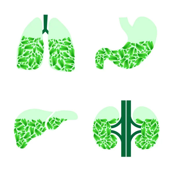 İnsan organlarını healthlife — Stok Vektör
