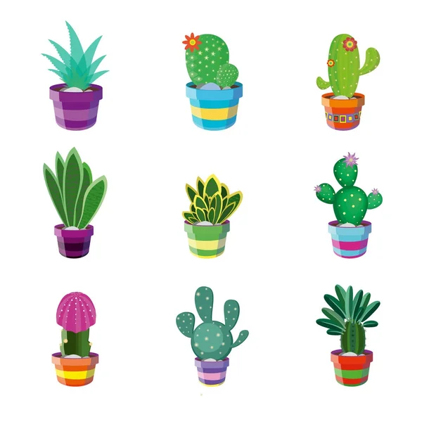 Set of different cacti — Stock Vector