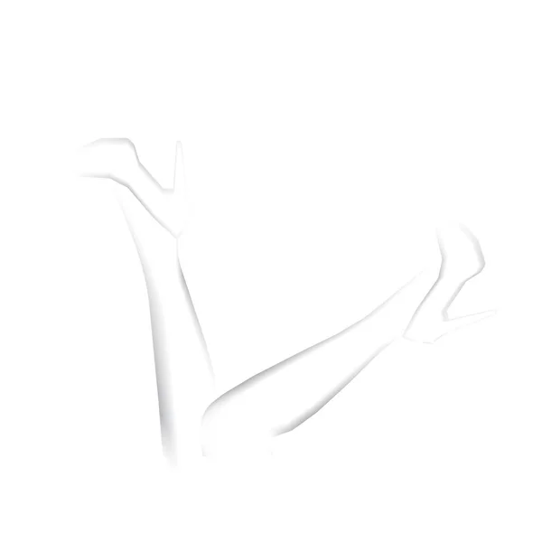 Patas de mujer aisladas sobre fondo blanco — Vector de stock