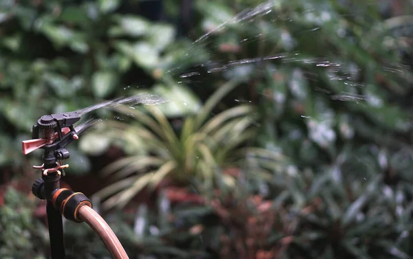 Closeup Water Sprinkler Garden — Stock Photo, Image