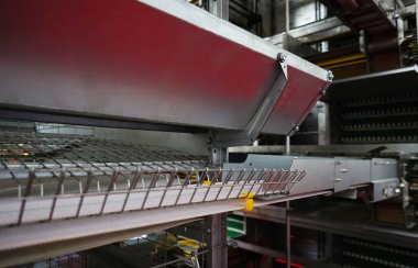 Kafesteki boş kafeslere yakın çiftçilik ya da çiftçilik yapan tavuk, bir tarım şirketi.      