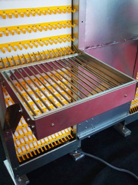 Kafesteki tavuk çiftliğinde yumurta toplayıcısına yakın çekim