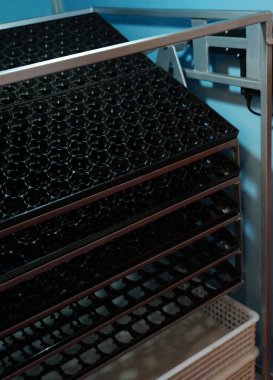 Kafesteki tavuk çiftliğinde yumurta toplayıcısına yakın çekim