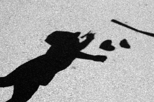 shadow and silhouette of a child in a hat reaching for hearts on asphalt