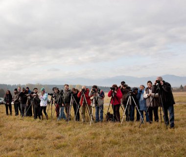 Grup fotoğrafçıların fotoğraf için Ideal an için bekliyor