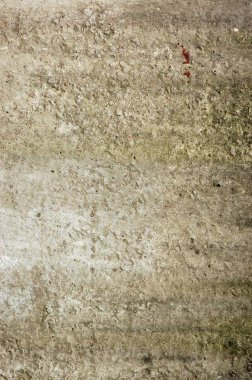 Eski evin kaba duvar