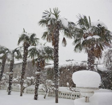 kar yağışı Park