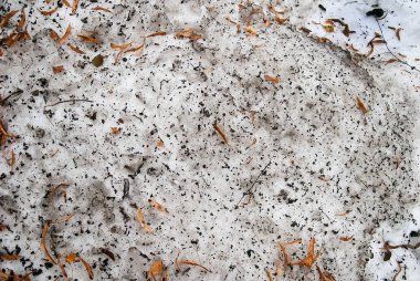 Kirli kar ve yaprakları