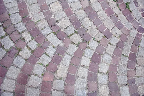 Blocchi di pavimentazione in pietra conservati a forma di ventilatore — Foto Stock
