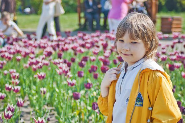 Child and blooming tulips