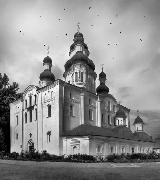 Birds flying around a church
