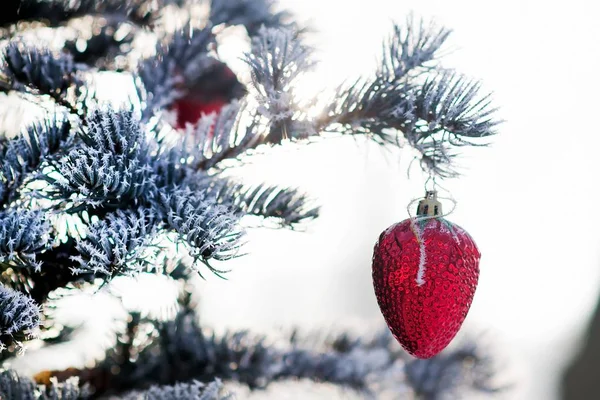 Ветка рождественской елки с клубничным мячом — стоковое фото