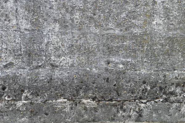 Staré betonové zdi pokryté mechem — Stock fotografie