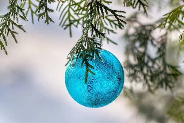 Bola azul de Navidad en una rama de árbol cubierta de nieve — Foto de Stock