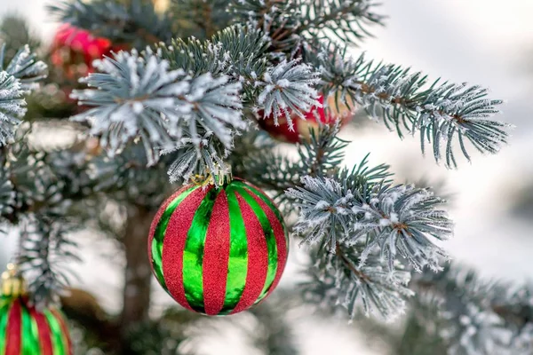 Bola de Navidad a rayas en una rama de árbol cubierta de nieve — Foto de Stock