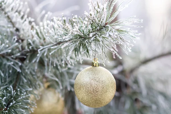 Bola de Navidad de oro en una rama de árbol cubierta de nieve — Foto de Stock