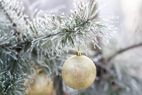 Altın Christmas topa bir karla kaplı ağaç dalı