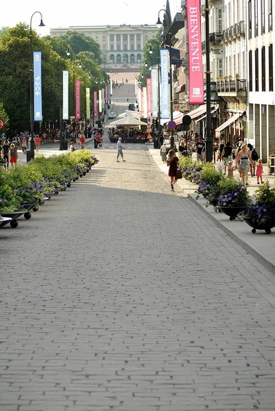 Главная улица Осло Karl Johans Gate — стоковое фото