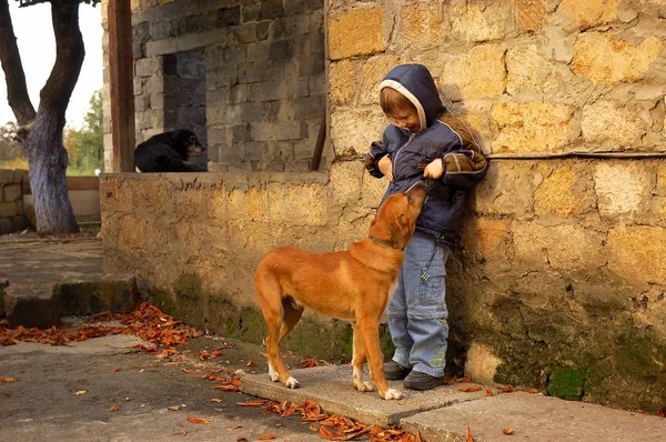 Мальчик и бездомная собака — стоковое фото