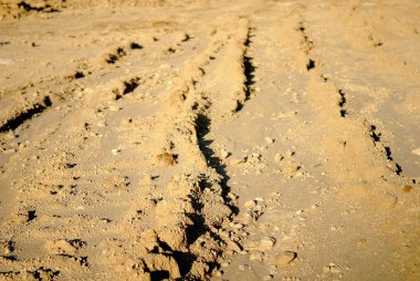 Çamur ve solmuş rüşvet.