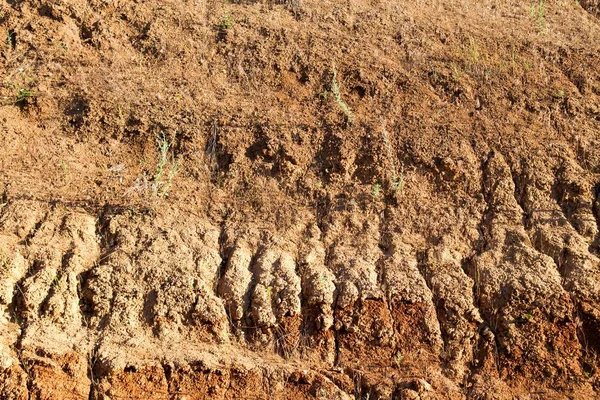 Alterações climáticas e terrenos baldios autônomos — Fotografia de Stock