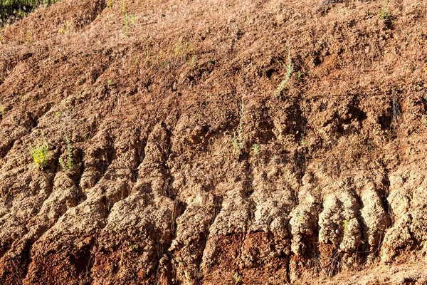 Alterações climáticas e terrenos baldios autônomos — Fotografia de Stock