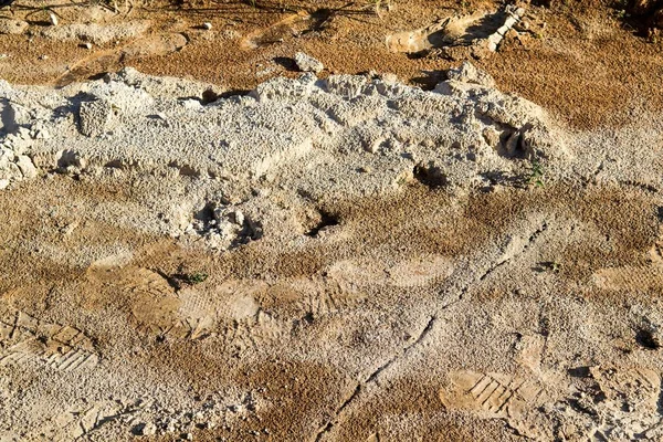 Footprint on mud — Stockfoto