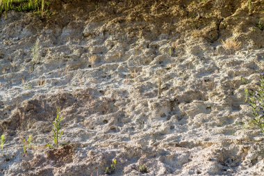 İklim değişikliği ve katılımsız çorak