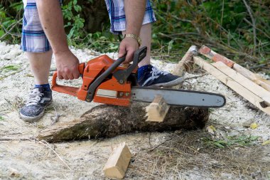 Testere kesme yakacak odun