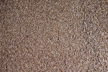 Arka plan buğday taneleri yaptı