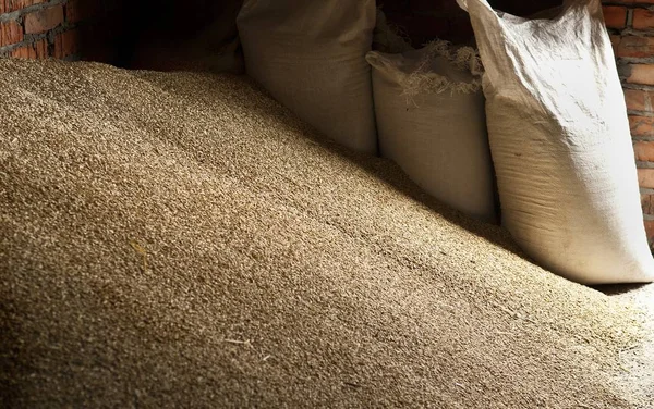 Grãos de trigo em sacos no armazenamento do moinho — Fotografia de Stock