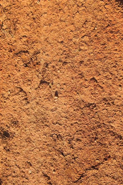 Vertical texture of red dry clay — Stock Photo, Image