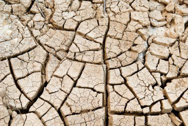 Kurak mevsimde kil zemini çatladı.