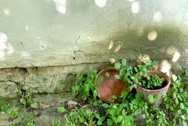 Tencere grunge beton duvar arka plan üzerinde