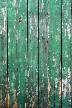 Eski rustik yeşil ahşap tahta doku
