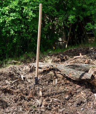 Bir orman, eski Orak