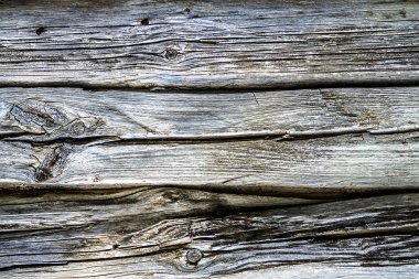 Bir günlük ev duvar duvar