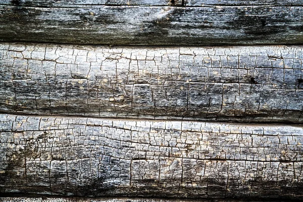 Bir günlük ev duvar duvar