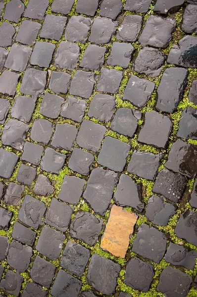 濡れた石畳道 — ストック写真
